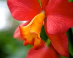 As the garden belongs to the University of Alberta, it serves as a good place for various research and learning numerous topics for the students of th